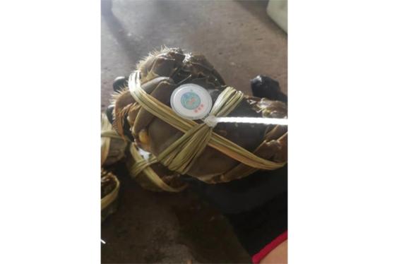 高淳固城湖螃蟹礼盒  10只装 公4.0两/5只 母2.8两/5只